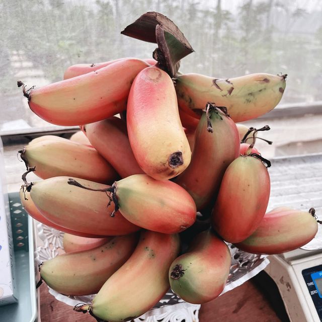 The Joys Of Agricultural Farming 