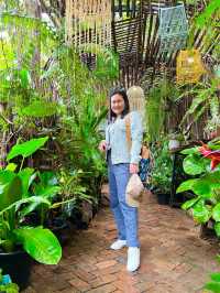 บ้านต้นไม้ คาเฟ่ The Tree House Café 