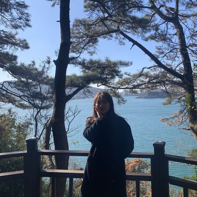 오동오동 떨며 구경했던 오동도🌺