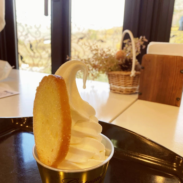 秋におススメ！箱根　仙石原高原！