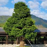 青空下的慈山寺