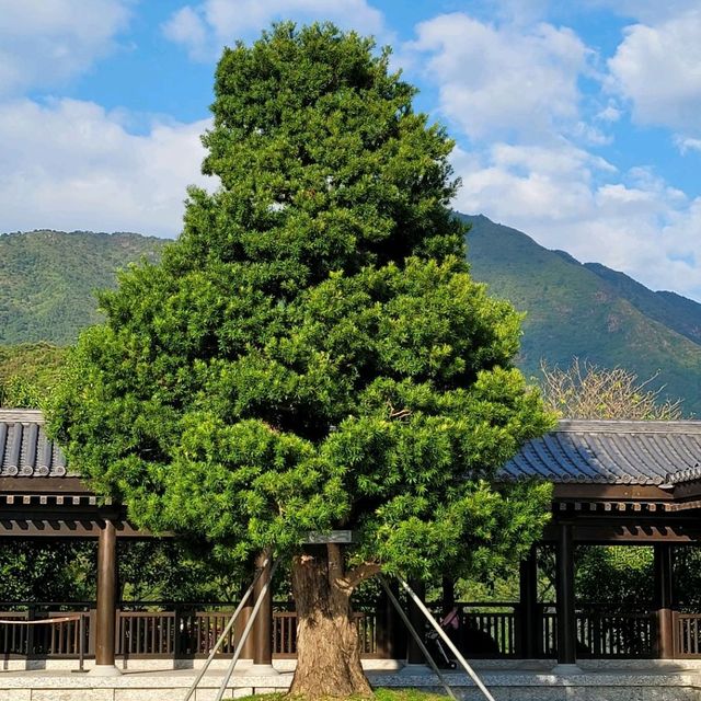 青空下的慈山寺 青空下的慈山寺