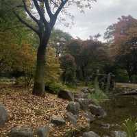 Best botanical garden in Seoul