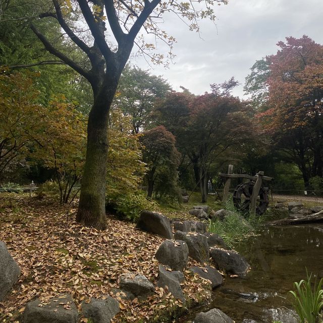 Best botanical garden in Seoul