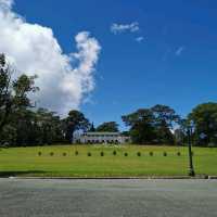 Leave Me Be in Baguio City