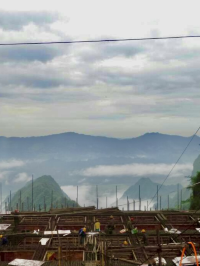 유네스코 세계유산 지정, 아바타 촬영지 “중국 장가계”