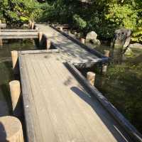 【東京都】秋の哲学堂公園🍁
