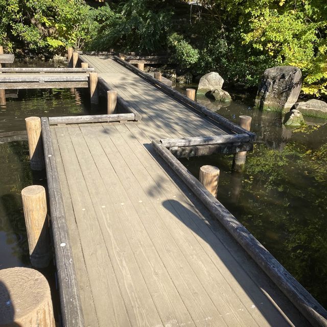 【東京都】秋の哲学堂公園🍁