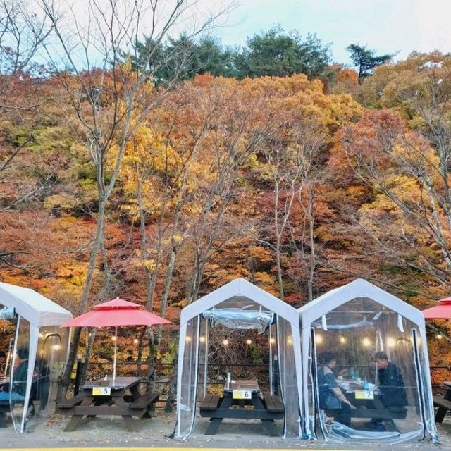 Jirisan Black Pig meal with nice foliage view