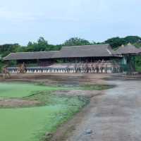 ซาฟารีเวิลด์