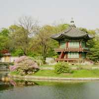 최고의 한옥, 경복궁
