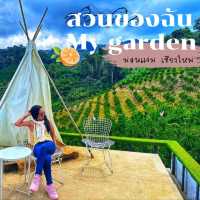 🍊🌿สวนของฉัน My garden ม่อนแจ่ม เชียงใหม่  🌿🍊 