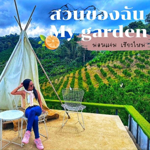 🍊🌿สวนของฉัน My garden ม่อนแจ่ม เชียงใหม่  🌿🍊 