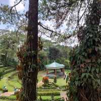 Burying Bad Vibes in Baguio City? 
