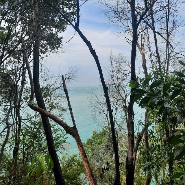 Bukit Batu Putih Hiking Trail