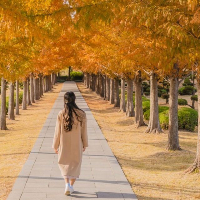 🍂주황빛아래에서 의미를 되새기며 산책하기 좋은곳 [부산, UN기념공원]