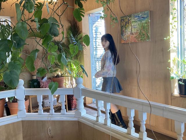 연남 숨겨진 지브리 분위기 카페 벌스VERS 🌟🌟