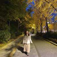 가을 서울 단풍 명소, 올림픽공원🍁