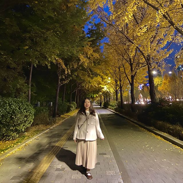 가을 서울 단풍 명소, 올림픽공원🍁