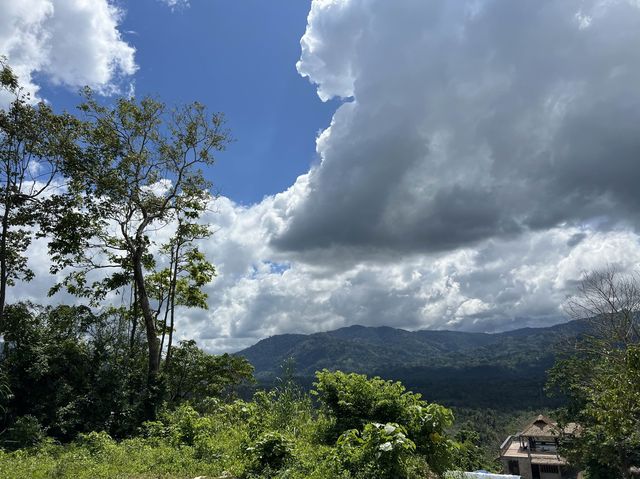 คาเฟ่อาศรมสุข สูงสุดยอดป่า ธรรมชาติ ณ ลานสกา