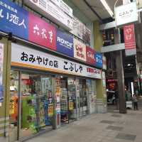 Tanukikoji Shopping Street 