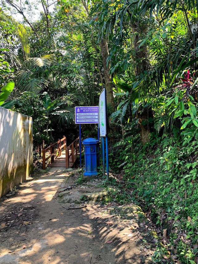 Suspension Bridge, Bukit Gasing 🥰