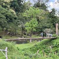 อุทยานแห่งชาติคลองวังเจ้า