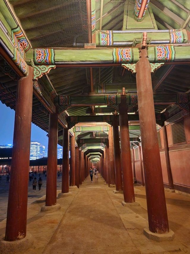 달밤의 고궁나들이🌃 경복궁 야간개장!