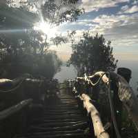 假日好去處/大坑四號步道