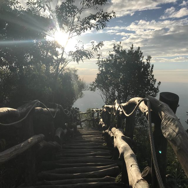 假日好去處/大坑四號步道