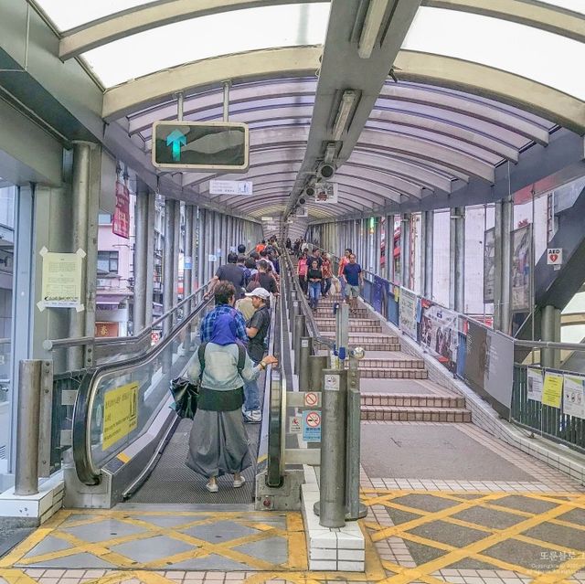 비가와도 멋있는 홍콩 미드레벨 에스컬레이터⭐️