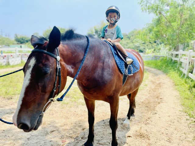 元朗抵玩農莊，初體驗騎馬超好玩滑草埸