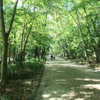 美人水が美味しい【河合神社と参道】