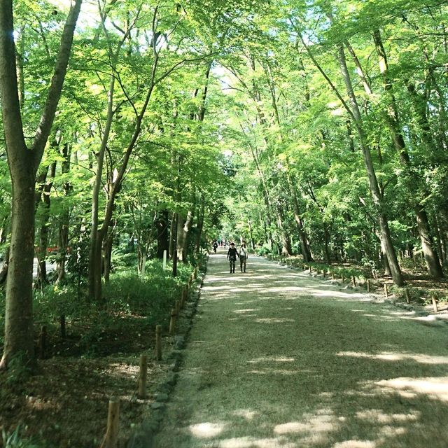 美人水が美味しい【河合神社と参道】