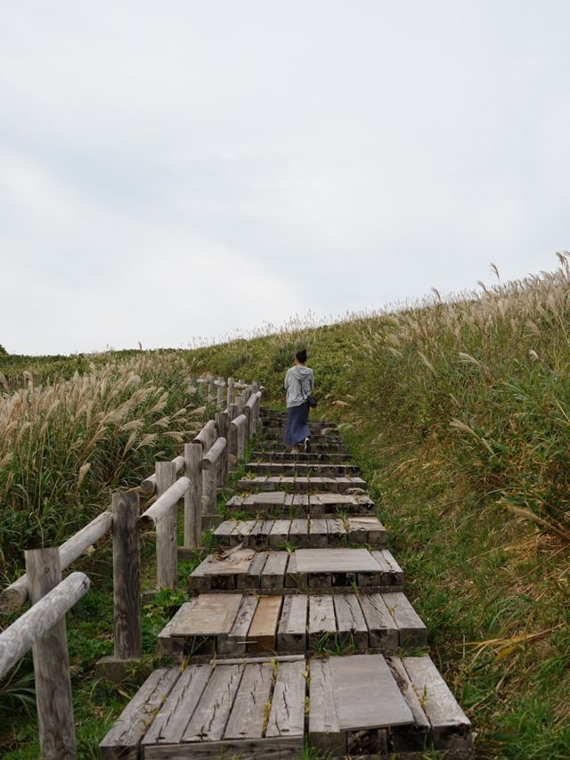【北海道・積丹】神威岬