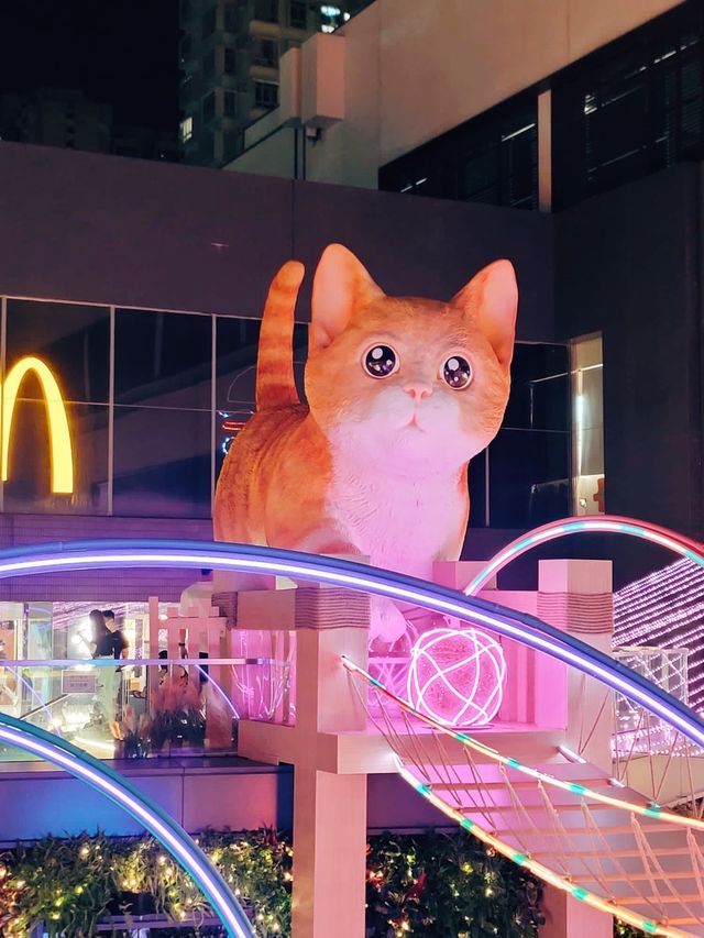 葵芳🎈喵喵遊園會😽