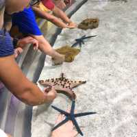 美麗海水族館