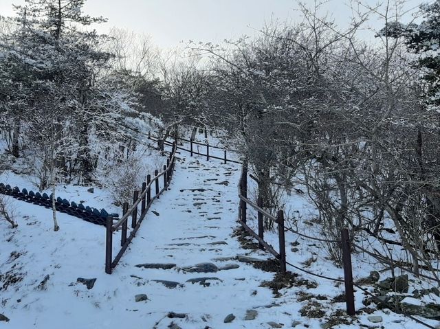 태백산 국립공원🏞