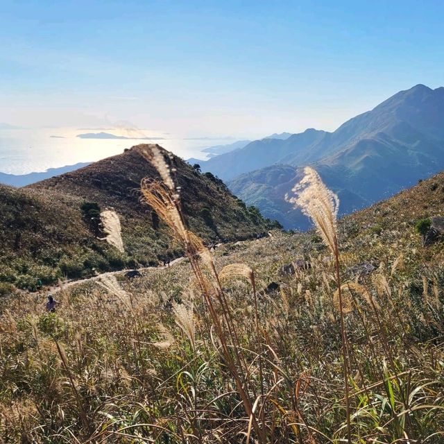 一期一會 大東山⛰🌾📷