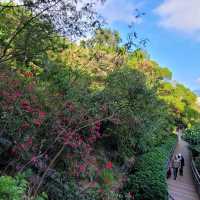 香港好去處 ～ 「赤柱馬坑公園亅 