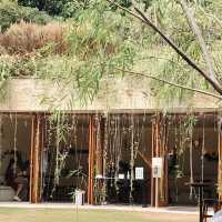 Rabbit Cafe คาเฟ่น่ารักเขาใหญ่ 