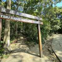 【假子親子遊】與孩子森林漫步 🌳