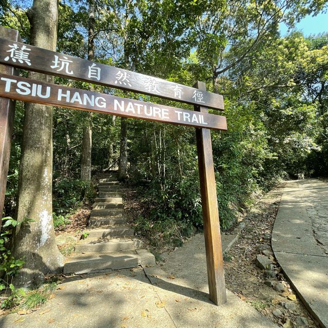 【假子親子遊】與孩子森林漫步 🌳