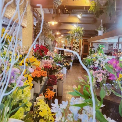 つくば 木の下の花屋kazamidori Trip Com つくばの旅のブログ