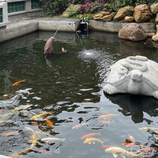 荃灣圓玄學院