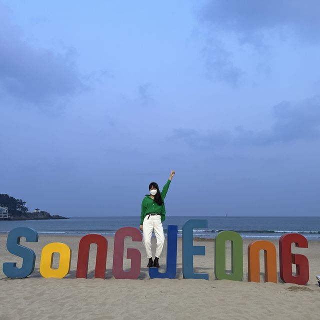 부산 송정해수욕장 블루라인파크 기차타고 구경하기