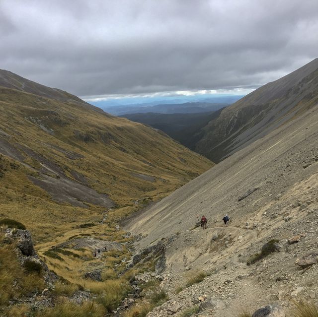 뉴질랜드 대자연🇳🇿 남섬의 트레킹 코스를 소개합니다⛰