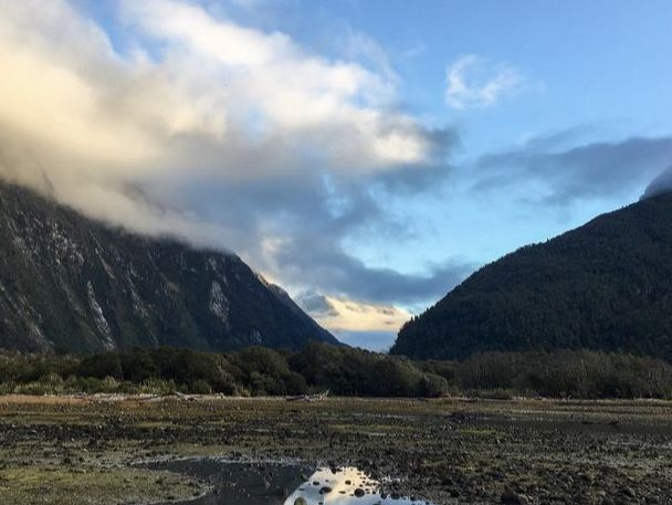 뉴질랜드 대자연의 정점, 밀포드 사운드🏔🇳🇿✨