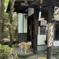 【大分】おんせん県おおいた