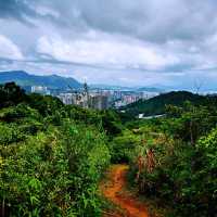 社山